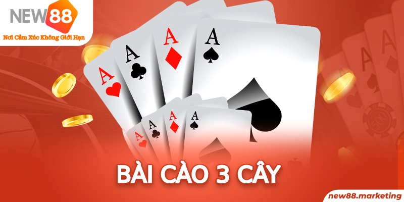mcv casino baccarat là cái gì