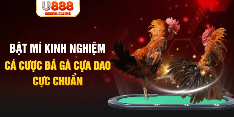 mcv casino trong baccarat, ai là người chia bài chính？