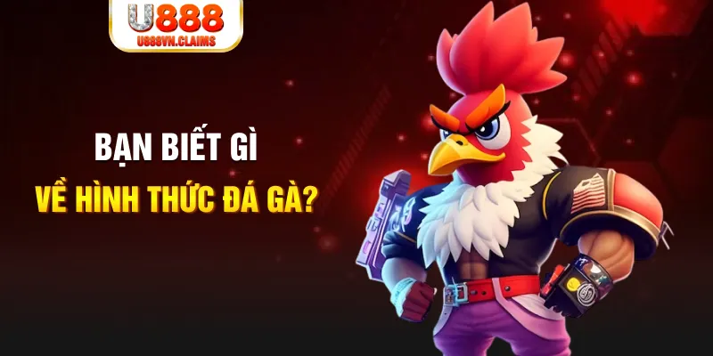 mcv casino đăng nhập mậu binh dễ thắng