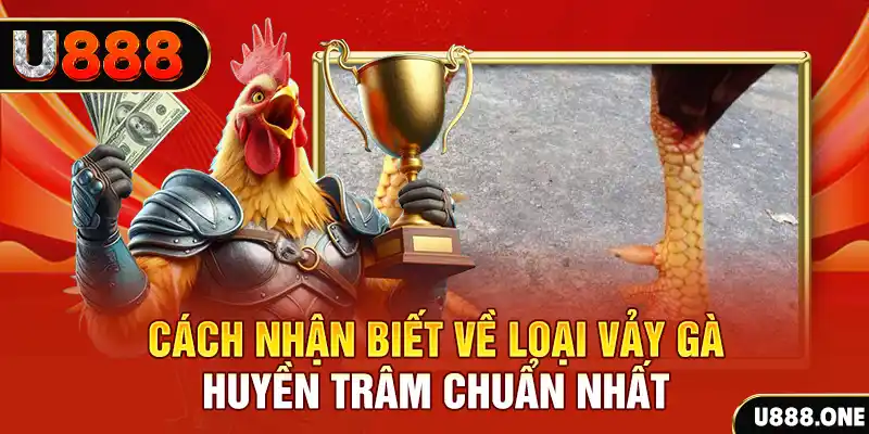 mcv casino Chú hề Patty tuổi teen