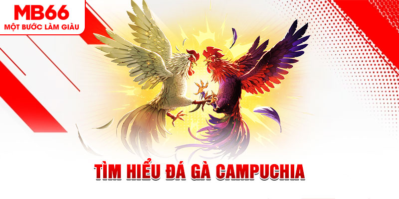 mcv casino qq88 bắn cá