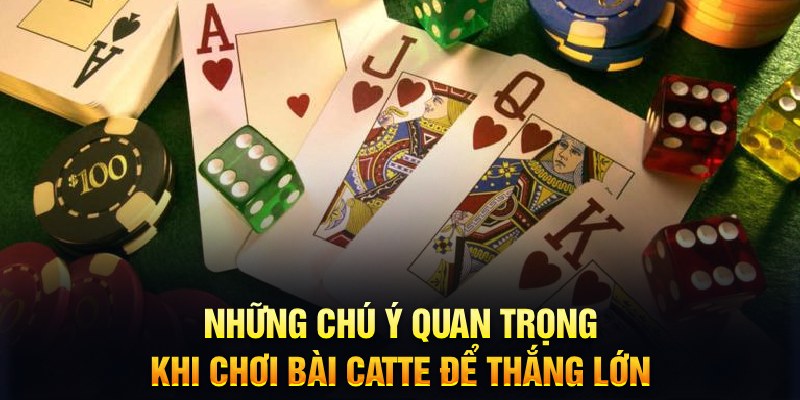 mcv casino VIA Trực Tuyến