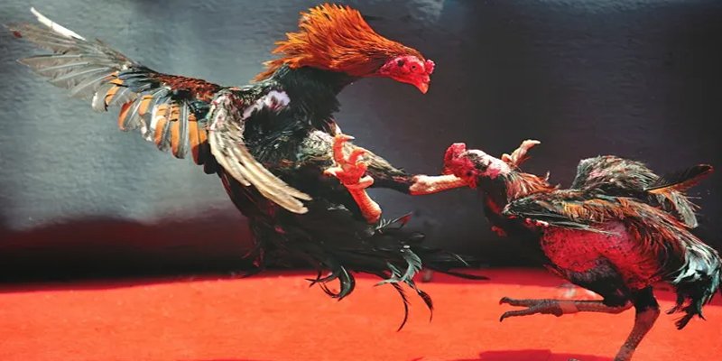 mcv casino đăng nhập nổ hũ số 1