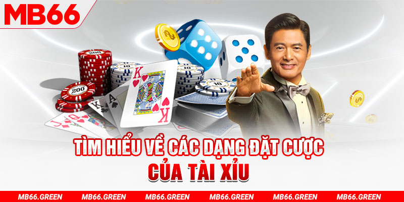 mcv casino máy bắn cá