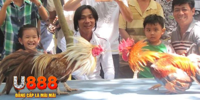 mcv casino mơ thấy nổ hũ đánh con gì