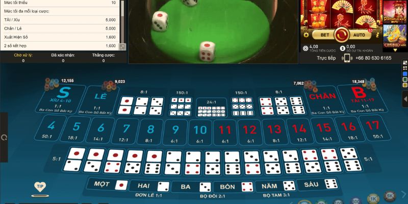 mcv casino đá gà thomo hôm nay