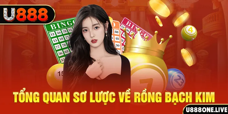 mcv casino máy bay cá cược