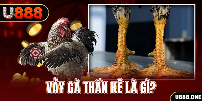 mcv casino xổ số miền bắc thứ tư hàng tuần