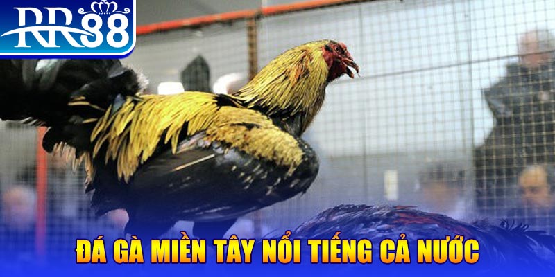 mcv casino đăng nhập liêng miễn phí