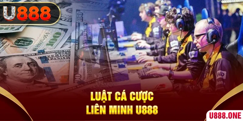 mcv casino đá gà hôm nay