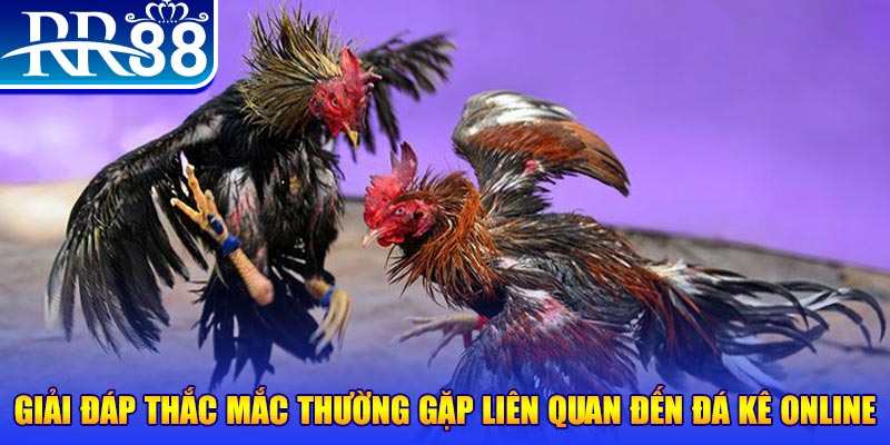mcv casino đăng nhập phỏm tặng tiền