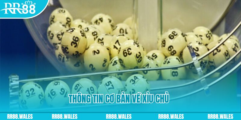 mcv casino baccarat long bảo là gì