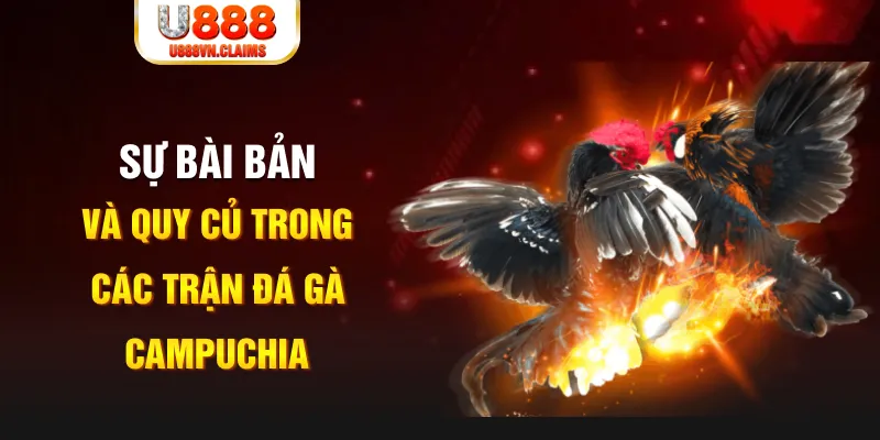 mcv casino baccarat lừa đảo như thế nào