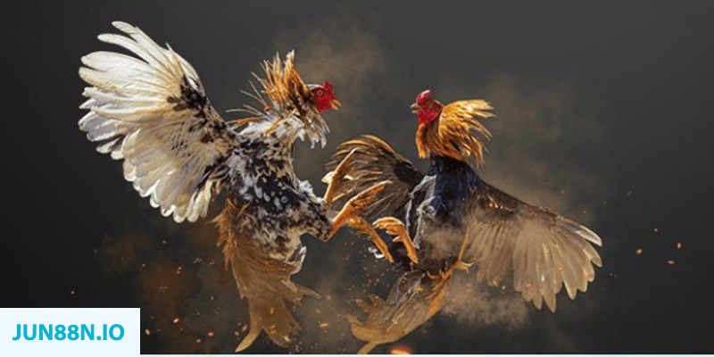 mcv casino bắn cá long vương