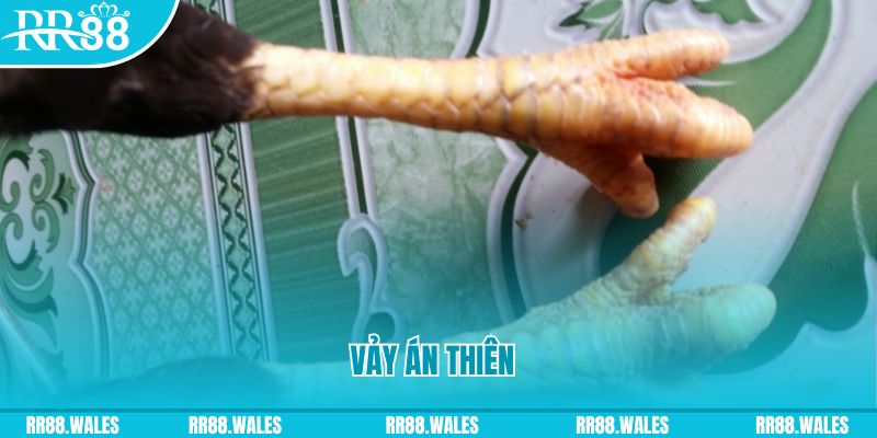 mcv casino who wants to be a millionaire slot