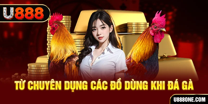 mcv casino BSP Bắn cá