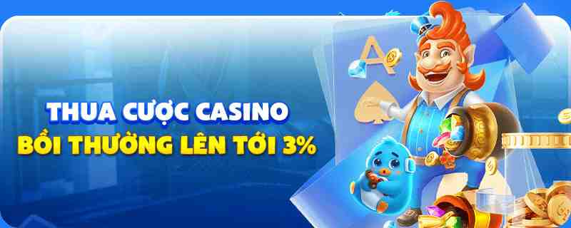 mcv casino Askme Điện Tử